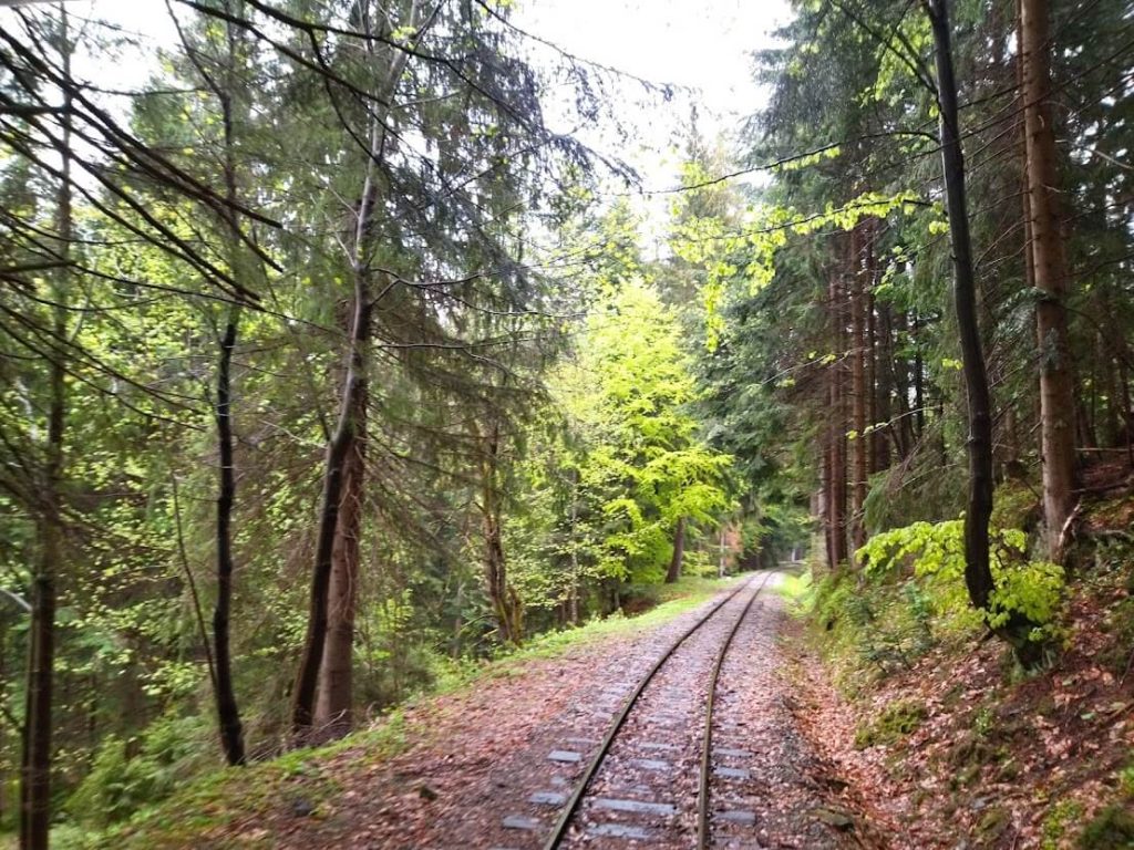 Slovakia History & Nature Orava Forest Railway