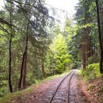 Slovakia History & Nature Orava Forest Railway